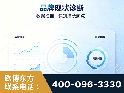 临清-品牌现状诊断