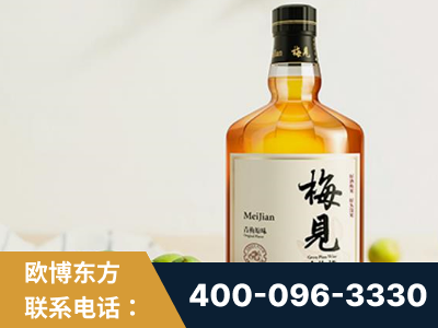 临清-梅见青梅酒