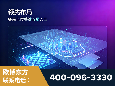 临清-领先布局：于2024年初开启GEO业务的公司